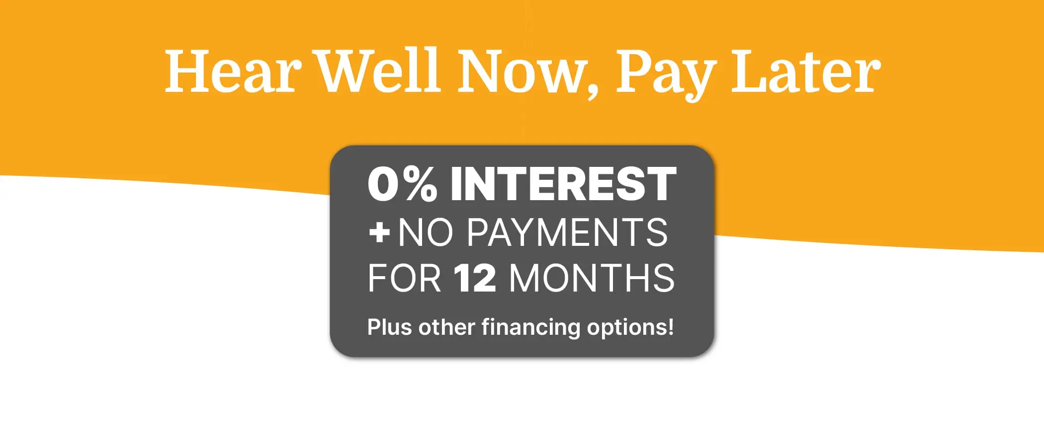 0% interest and no payments for 12 months offer